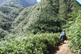 Sự thật về người mở đường lên 