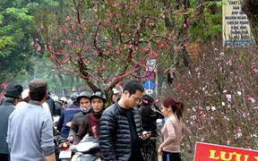 Hà Nội hoán đổi ngày nghỉ dịp lễ, tết năm 2013