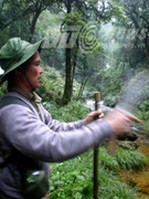 Nỗi thất vọng lớn của “người rừng” Hoàng Liên Sơn