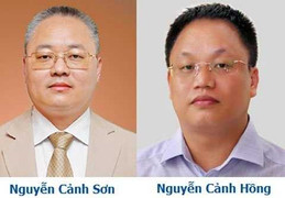 Những cặp anh chị em đại gia Việt nổi danh