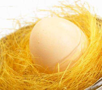 Trứng gà công nghiệp an toàn hơn trứng gà ta?