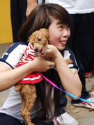 Xem những chú chó 'độc' đi thi sắc đẹp