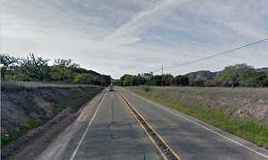 Xả thân cứu chó, hai phụ nữ thiệt mạng