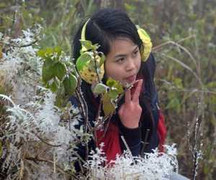 Ảnh: Băng tuyết trên đỉnh đèo Ô Quý Hồ