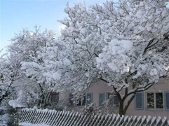 31/12: Nhiều nơi ở VN có thể có băng tuyết