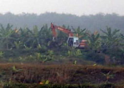 Cưỡng chế Tiên Lãng: Mẹ nguyên P.Chủ tịch huyện kêu oan