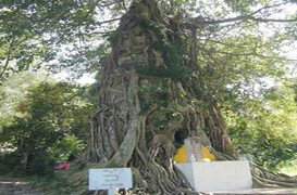 Tháp cổ 7 tầng huyền bí trên núi Đề Liêm