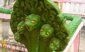 Lạ lùng nơi người chết được chôn cùng... rắn độc