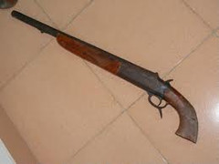 Hải Phòng: Em trai nổ súng hoa cải, đe giết chị gái