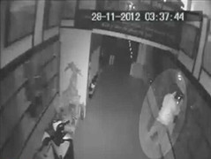 Trộm đột nhập, 'khoắng' sạch 100 laptop của cửa hàng