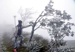 Sapa, Mẫu Sơn chìm trong giá rét 0 độ C