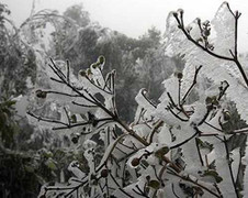 3 ngày tới, Sapa và Mẫu Sơn sẽ có băng tuyết