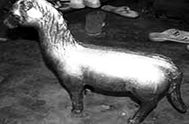 ‘Thần tiên’ ban kho báu vàng cho người đàn bà nghèo