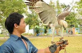 Dân chơi Sài Gòn chi chục triệu săn đại bàng