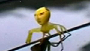 Phát hiện nhện mặt người