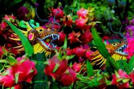 Tết này TP.HCM có bao nhiêu chợ hoa xuân?