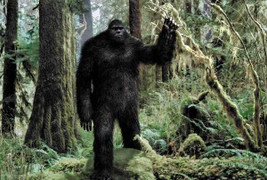 Video về hang ổ quái vật người tuyết tại Mỹ