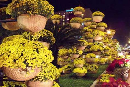 Hội hoa xuân TP.HCM có 'hàng' gì độc?