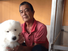 Dịch vụ gửi chó ngày Tết 'cháy' chỗ