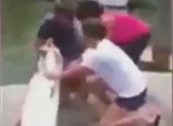 Clip: Cá cháo bất ngờ tấn công người