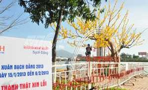 Ảnh: Đường hoa xuân 17 tỷ đồng ở Đà Nẵng có gì?