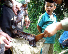 Bí ẩn bộ tộc sống giữa rừng hoang ở Quảng Nam