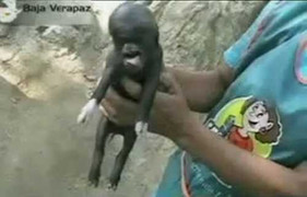 Những sinh vật kỳ dị mang khuôn mặt người