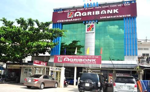 Vì sao nguyên Tổng Giám đốc Agribank bị bắt?