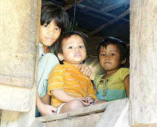 Tết khó ở vùng tâm chấn động đất