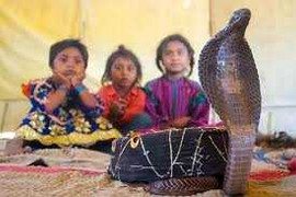 Rùng mình những em bé 'chiến đấu' với rắn hổ mang bành