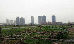 Đột nhập ngôi làng bỗng chốc thành tỉ phú