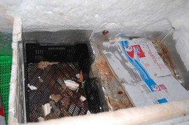 Ghê người thịt thối rữa tại siêu thị ở HN