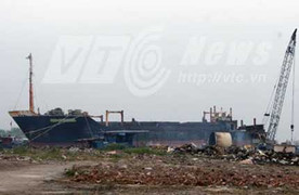 Vụ xẻ thịt tàu ngoại: 'Quan chức môi trường' nói gì?