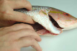 Mê ăn ruột cá, giun sán đầy mình