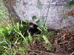 Xâm nhập ngọn núi có hang động chứa vàng ròng