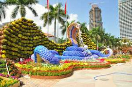 Ngẩn ngơ ngắm Đà Nẵng 'thay áo mới'