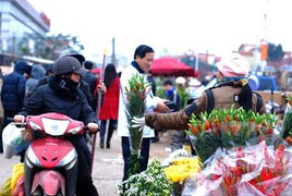 Mưa rét suốt đợt Tết khắp miền Bắc - Trung