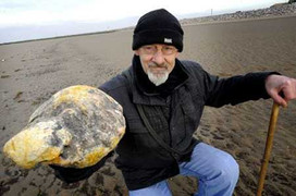 Nhặt được bãi nôn của cá voi kiếm 3,3 tỷ đồng