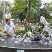 Ngắm cây rừng trong sách đỏ giữa Sài Gòn