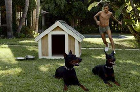 Beckham khốn khổ vì mất áo tắm