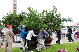 Sụp lưng cửu vạn ngày cuối năm