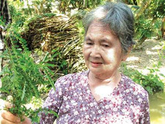 Ai bị rắn cắn, đến gặp bà Chanh 70 tuổi