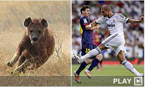 Truyền hình thân Barca ví Real như loài linh cẩu