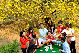 Lời chúc tết hay nhất cho năm Quý Tỵ (2)