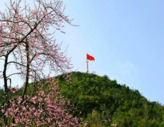 Ảnh: Sắc xuân rực rỡ biên giới