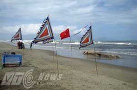 Cá ông nặng gần 8 tấn 'lụy' bờ