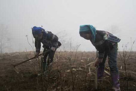 Ở nơi hít mây vào mũi, thở mây ra mồm