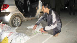 Trinh sát tuổi Tỵ lột mặt nạ 'lái rắn'