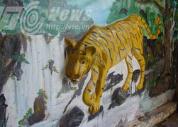 Bí ẩn chuyện cọp 3 chân tha mạng nhà sư