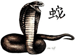 Từ tiểu thuyết Kim Dung đến Xà hình quyền